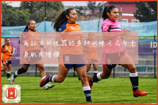 高拉力训练器的多种训练方式与全身肌肉增强