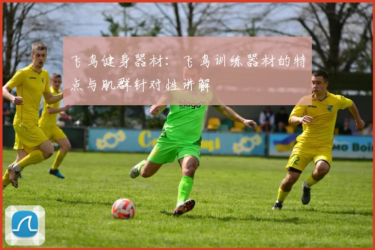 飞鸟健身器材：飞鸟训练器材的特点与肌群针对性讲解