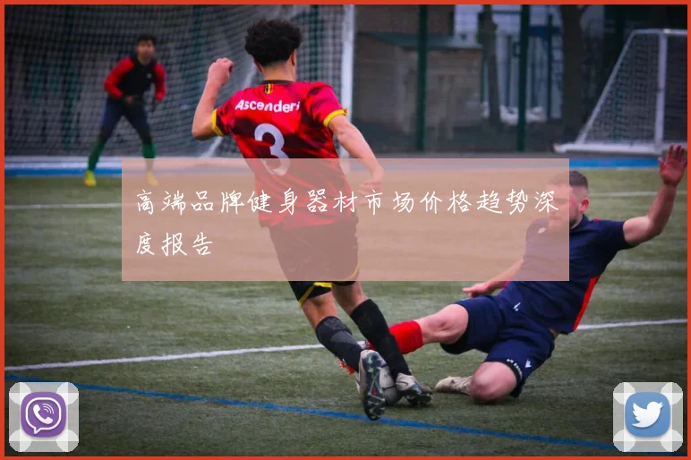 高端品牌健身器材市场价格趋势深度报告