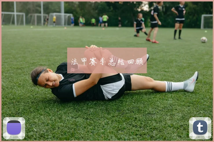 法甲赛季总结回顾