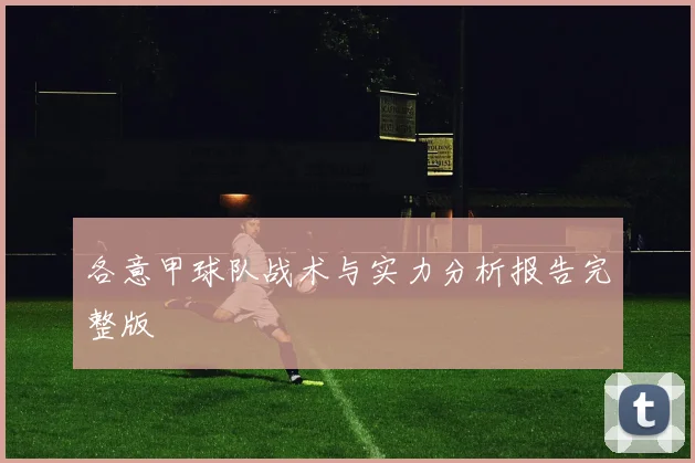 各意甲球队战术与实力分析报告完整版