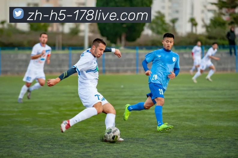 178体育直播发展历程